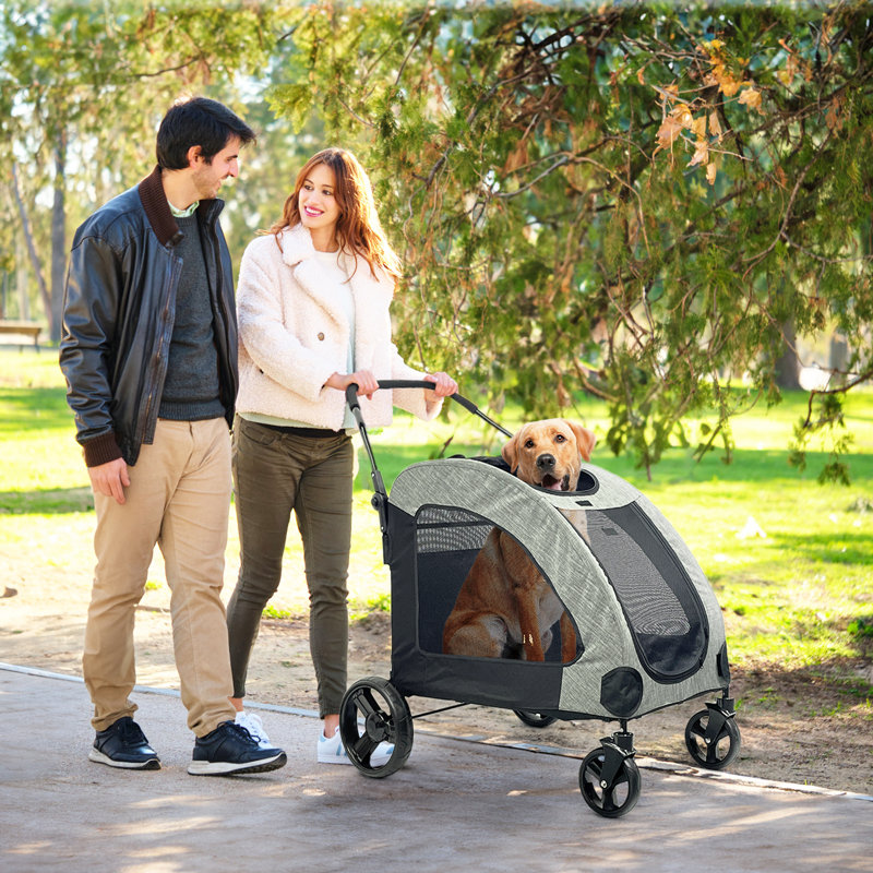 Poloma Folding Jogger Stroller & Reviews Wayfair
